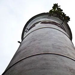 Parque El Limón - Maracay