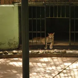 Parque La Guaricha - Maracay
