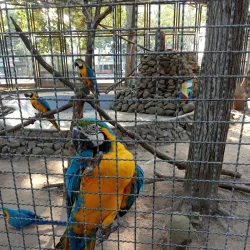 Parque La Guaricha - Maracay