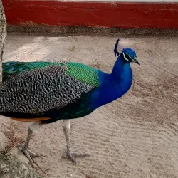 Parque La Guaricha - Maracay