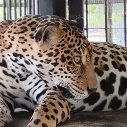 Parque La Guaricha - Maracay