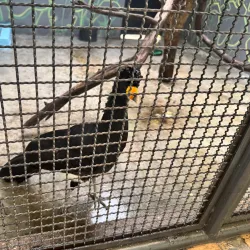 Parque La Guaricha - Maracay