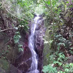 Parque Nacional Henri Pittier - Maracay