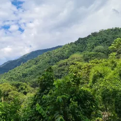 Parque Nacional Henri Pittier - Maracay