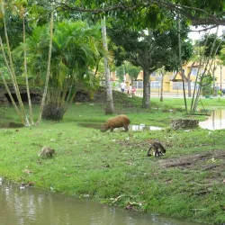 Parque Zoológico de Maturín - Maturin