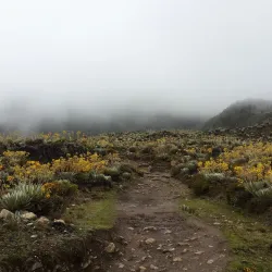 Laguna de Mucubají - Merida
