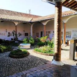 Museo de Arte Colonial - Merida