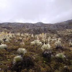 Sierra Nevada National Park - Merida
