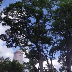 Plaza Sucre - Petare