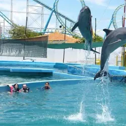 Puerto la Cruz Aquarium - Puerto la Cruz