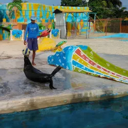 Puerto la Cruz Aquarium - Puerto la Cruz