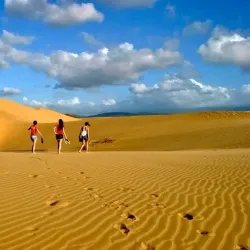 Parque Nacional Médanos de Coro - Punto Fijo