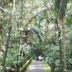 Cascada de Yacambú - Yaracuy