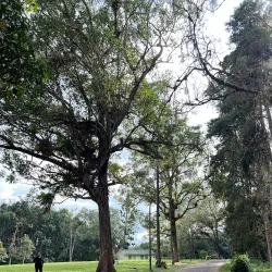 Cascada de Yacambú - Yaracuy