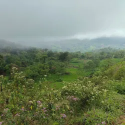 Cascada de Yacambú - Yaracuy