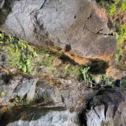 Cerro Santa Ana - Yaracuy