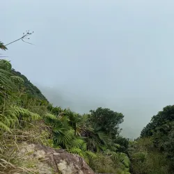 Cerro Santa Ana - Yaracuy