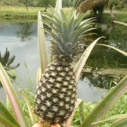 San Felipe - Yaracuy