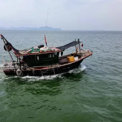 Bai Tu Long Bay - Ba Long Bay (Hạ Long Bay)