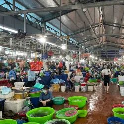 Hon Gai Market - Ba Long Bay (Hạ Long Bay)
