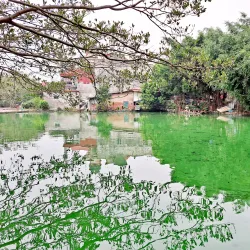 Dai Bai Pagoda - Bac Ninh