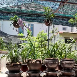 Phu Lang Pottery Village - Bac Ninh