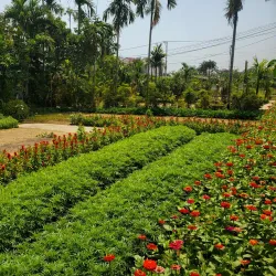 Que Village - Bac Ninh