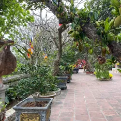 Van Mon Pagoda - Bac Ninh