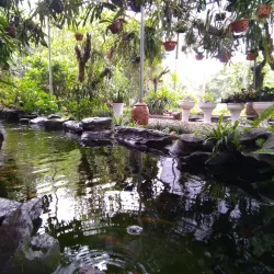 Van Mon Pagoda - Bac Ninh