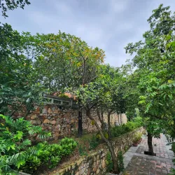 Van Mon Pagoda - Bac Ninh