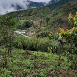 Bac Kan Museum - Bắc Kạn (Bac Can)