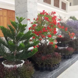 Bien Hoa Cultural Center - Bien Hoa