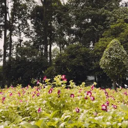 Tam Hiep Park - Bien Hoa