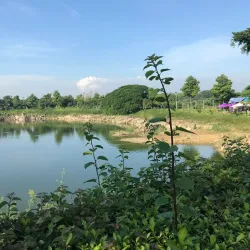 Trấn Biên Temple of Literature - Bien Hoa
