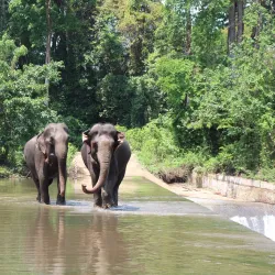 Yok Don National Park - Buon Ma Thuot