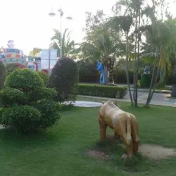 Cam Pha Market - Cam Pha