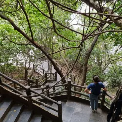 Dau Go Cave (Wooden Stakes Cave) - Cam Pha