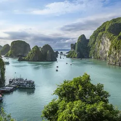 Ha Long Bay - Cam Pha