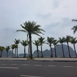 Hon Gai Harbor - Cam Pha