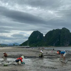 Hon Gai Harbor - Cam Pha