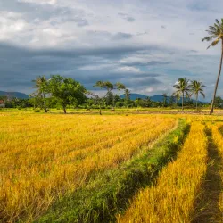 Ba Ngòi Fishing Village - Cam Ranh