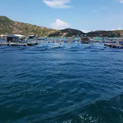 Cam Ranh Bay - Cam Ranh