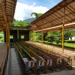 Hon Ba Nature Reserve - Cam Ranh