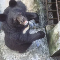 Hon Ba Nature Reserve - Cam Ranh
