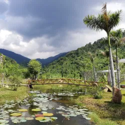 Hon Ba Nature Reserve - Cam Ranh