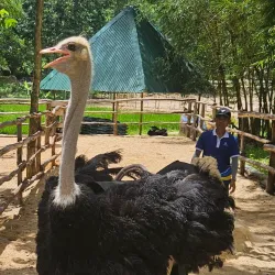 Hon Ba Nature Reserve - Cam Ranh