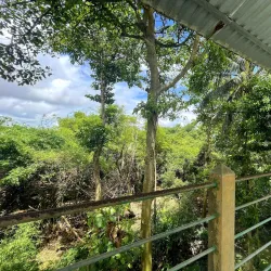 Bang Lang Stork Sanctuary - Can Tho