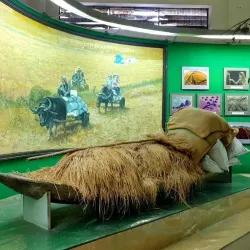 Can Tho Museum - Can Tho