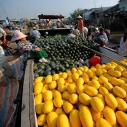 Phung Hiep Floating Market - Can Tho
