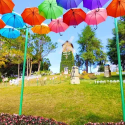 Dalat Flower Gardens - Da Lat